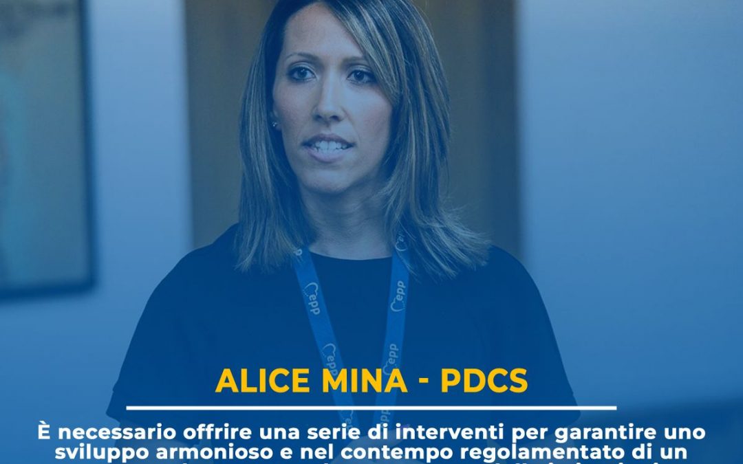 Alice Mina interviene in merito al PdL sull’Informazione